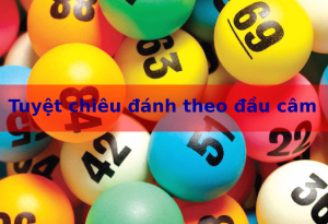 Đ&aacute;nh theo đầu c&acirc;m
